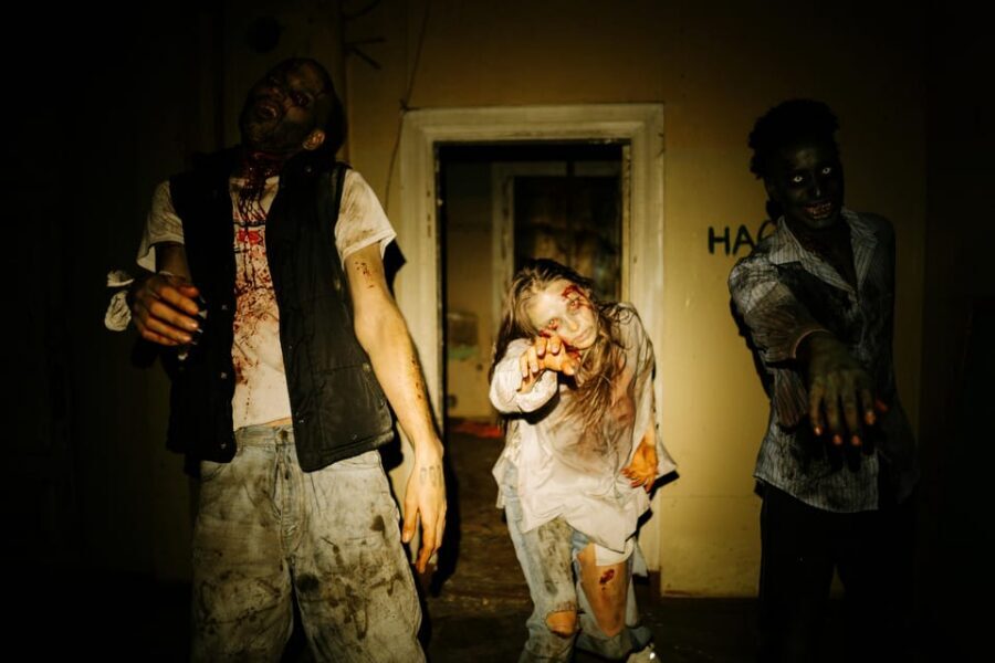 Krakow: Horror House Entry Ticket - Inside the 30-minute horror maze: what the experience feels like
