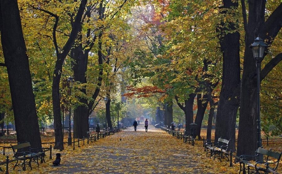 Krakow: Old Town "Royal Route" Walking Tour - The Royal Route logic: why this walk feels efficient