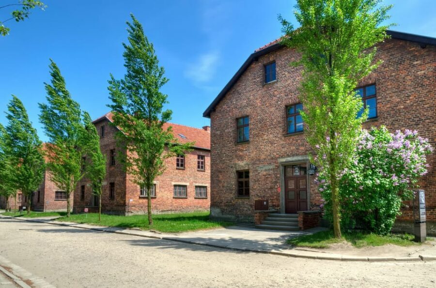 Krakow: Wieliczka Salt Mine and Auschwitz-Birkenau Tour - Auschwitz-Birkenau: what you’ll actually see with a licensed guide