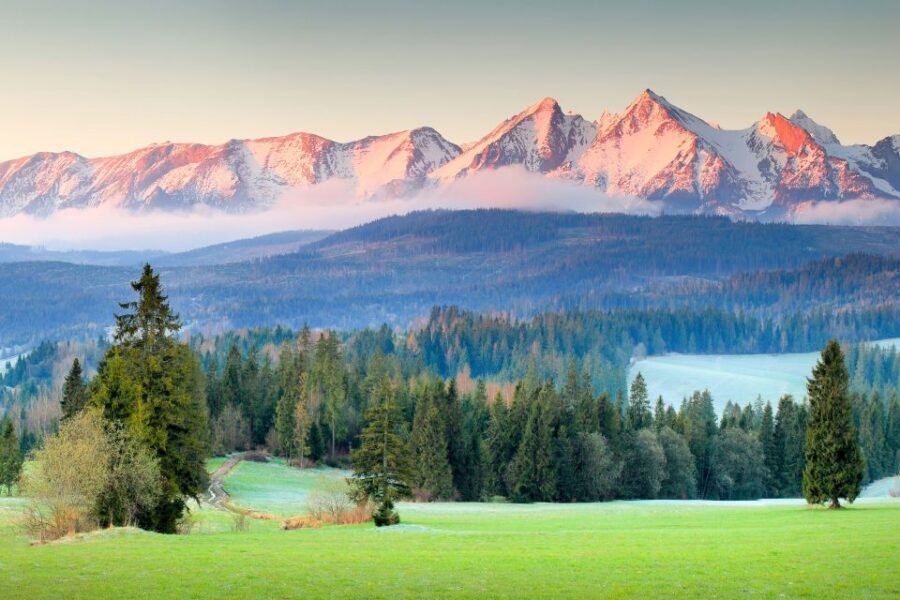 Krakow: Zakopane Day Tour with Optional Thermal Baths - Zakopane center time: Krupówki Street and free wandering