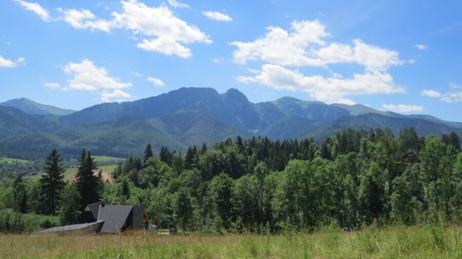 Krakow: Zakopane, Thermal Baths, Cable Car, Vodka, Oscypek - Krupówki Street in Zakopane: shopping, snack breaks, and people-watching