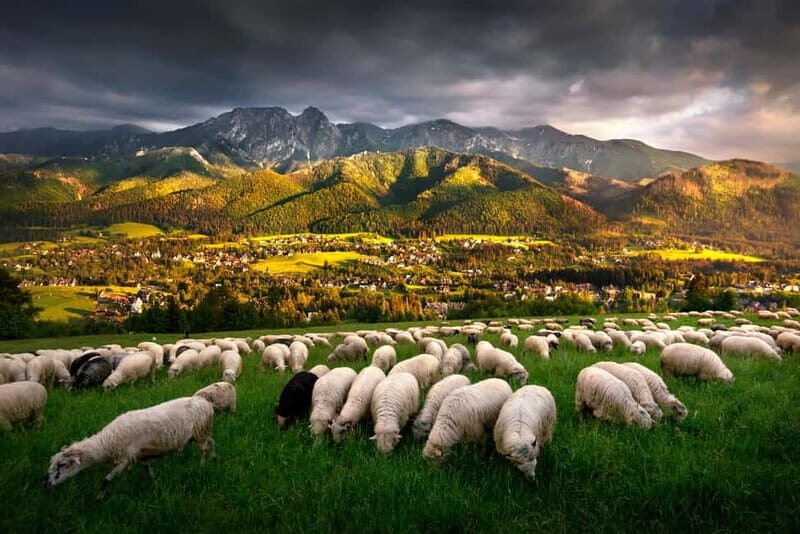 Krakow: Zakopane Trip with Thermal Pools & Hotel Pick-up - From Krakow Pickup to Zakopane: How the Day Actually Flows