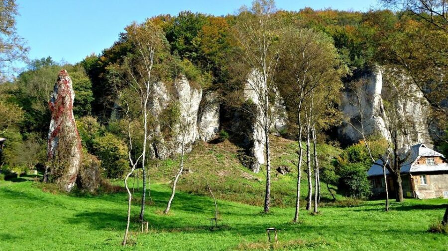 Ojcow National Park: Full-Day Trip from Krakow - Who this Ojcow trip fits best