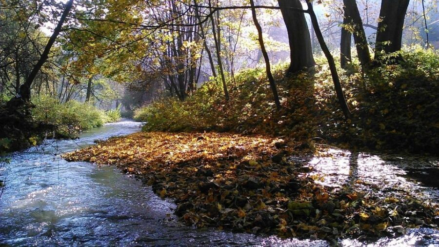 Ojcow National Park: Full-Day Trip from Krakow - Hercules’ Club and the best kind of photo stop