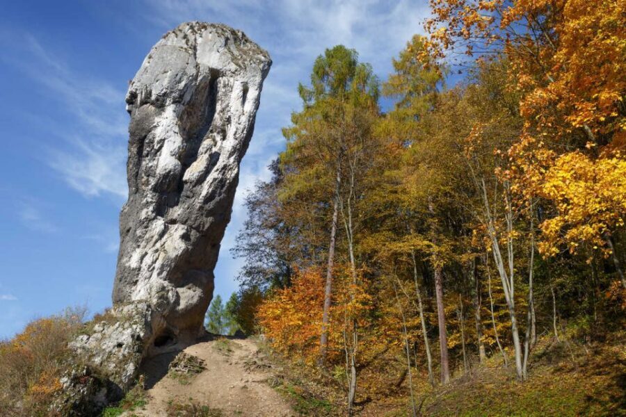 Ojcow National Park: Full-Day Trip from Krakow - Small-group pacing and the English guide advantage