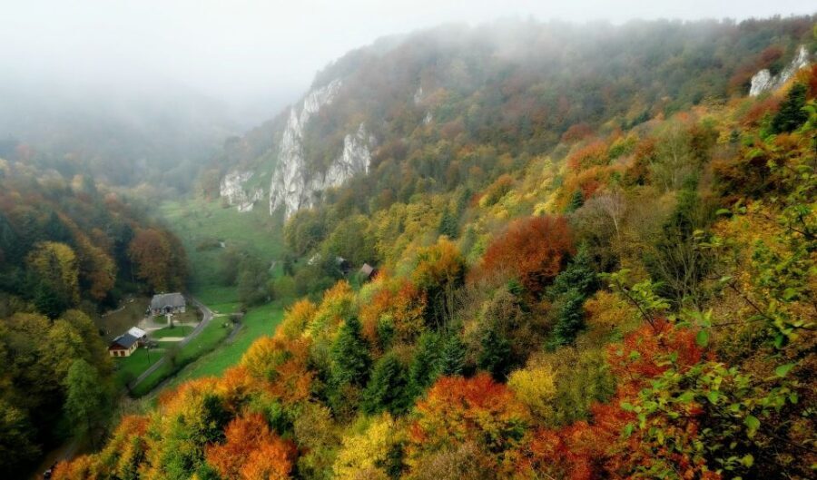 Ojcow National Park: Full-Day Trip from Krakow - What to bring, and how to dress for all-weather cave-and-trail touring
