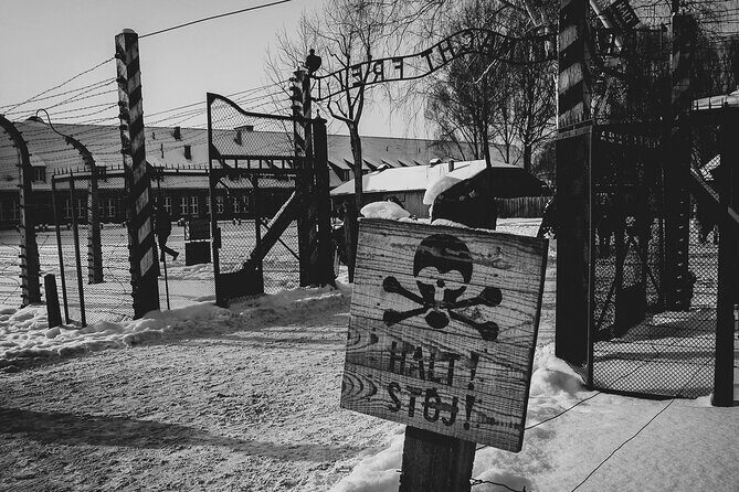 Private Guided Tour Auschwitz Birkenau with Transport from Krakow - The waiting reality: queues, entry flow, and tickets