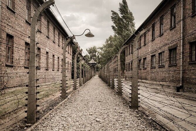 Private Guided Tour to Auschwitz & Birkenau from Krakow - Who guides you: transport driver vs museum staff