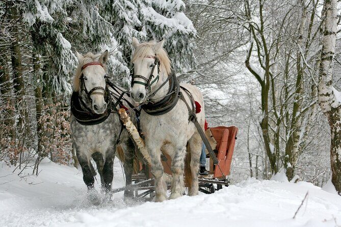 Sleigh Ride & Bonfire in Zakopane with Funicular - Private Trip - A Winter Day Plan Around Zakopane and the Tatra Mountains