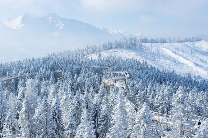 Treetop Walk in Slovakia and Thermal Baths from Krakow - Price and value: what you’re really paying for at $204.27