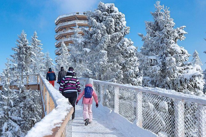 Treetop Walk in Slovakia and Thermal Baths from Krakow - Bachledka Ski & Sun Treetop Walk: mountain panoramas on a wooden route