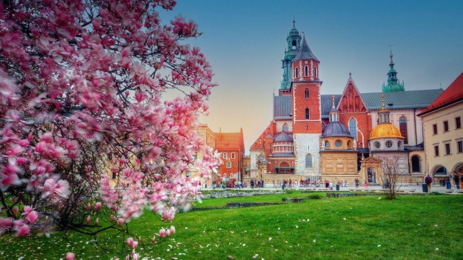 Wawel Hill Tour with Audio Guide - Why Wawel Hill feels important before you even enter