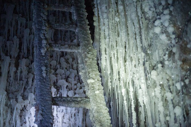 Wieliczka Salt Mine: Complete Private Tour - The 3-hour live-guided tour inside the mine