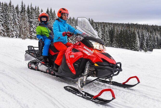 Zakopane: 3 hours Snowmobiles Guided Tour with bonfire and meal - Group size, guide style, and why English matters
