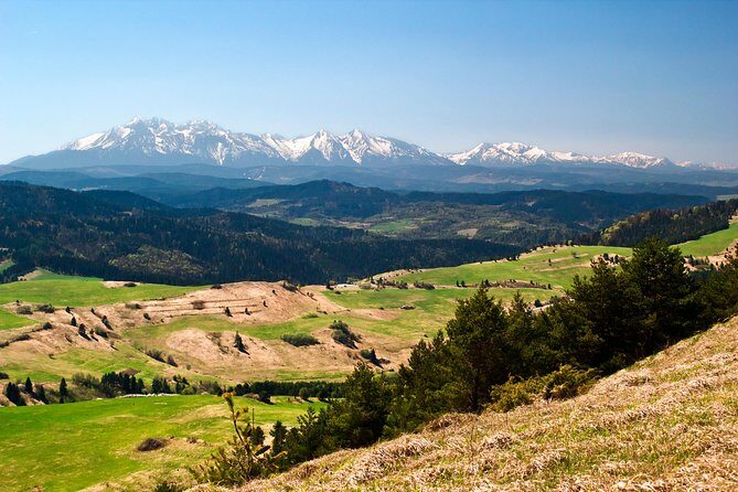 Zakopane and Tatras Mountains Day Tour from Krakow - Cheese tasting: a small included stop that actually makes sense
