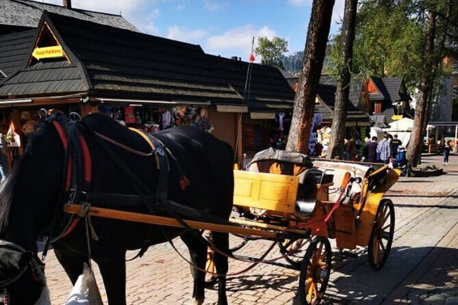 Zakopane Funicular Hill & Thermal Springs regular tour - Getting from Krakow: pickup that sets the tone