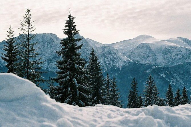 Zakopane private tour from Krakow with Thermal Baths - Who This Zakopane Private Tour Suits Best