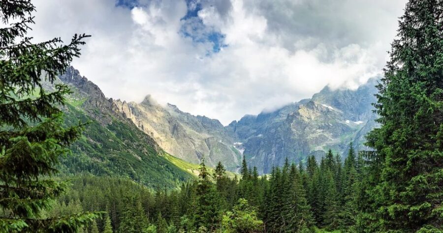 Zakopane: Sightseeing Tour from Krakow - Getting from Krakow to Zakopane: air-conditioned comfort, simple logistics