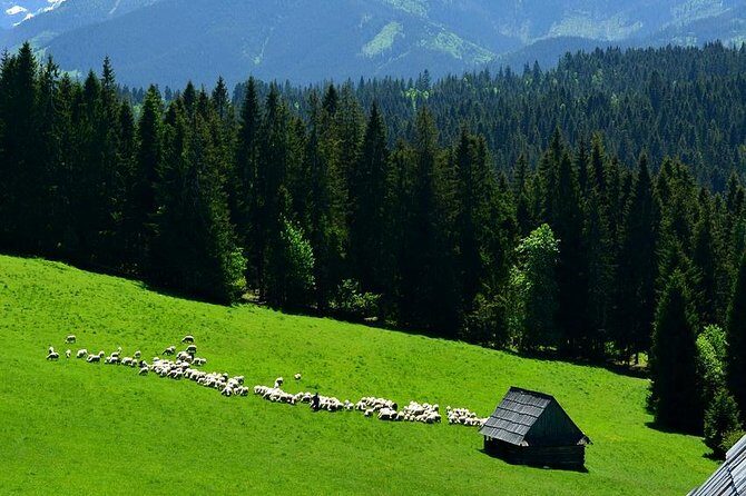 Zakopane Tour from Krakow – Highland Experience & Stunning Views - Price and logistics: what $52.05 really buys